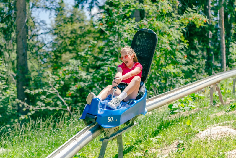 pigeon forge racing coaster
