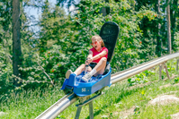 pigeon forge racing coaster