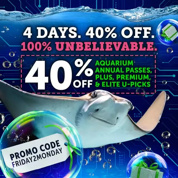 ripleys-gatlinburg-promo-code-black-friday-2026