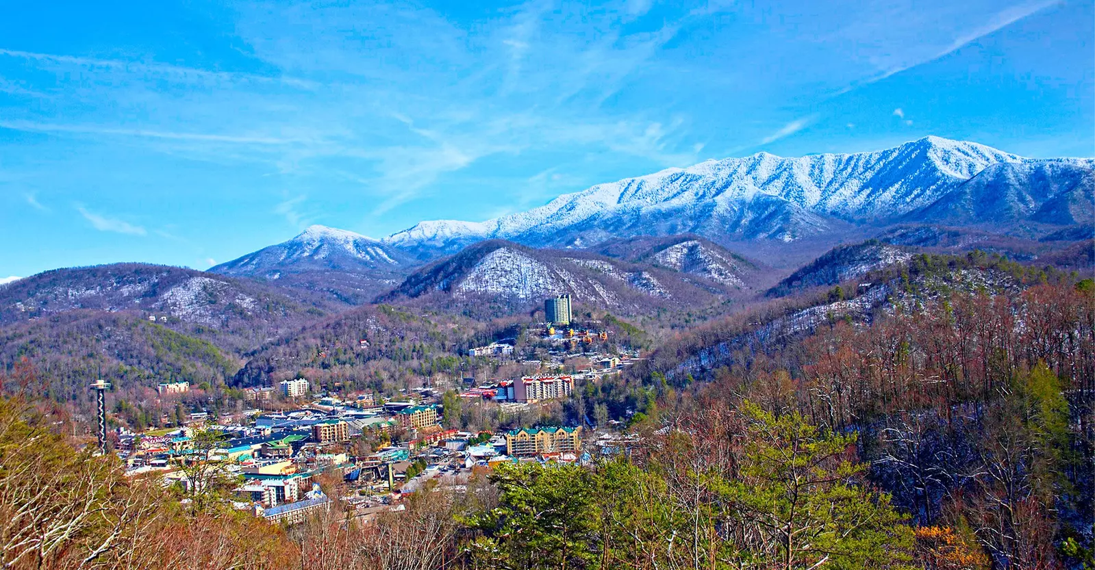 LECONTE VIEW MANOR