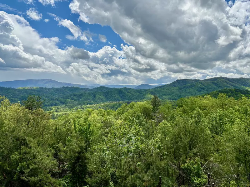 FIREPITS AND FIREFLIES