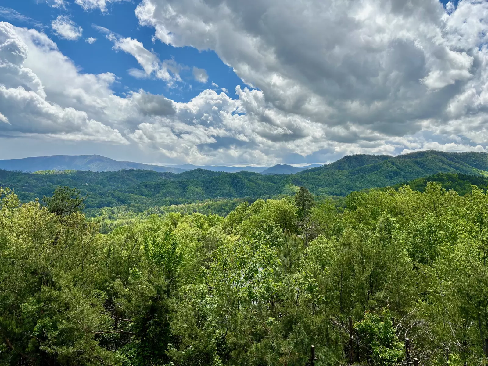 FIREPITS AND FIREFLIES