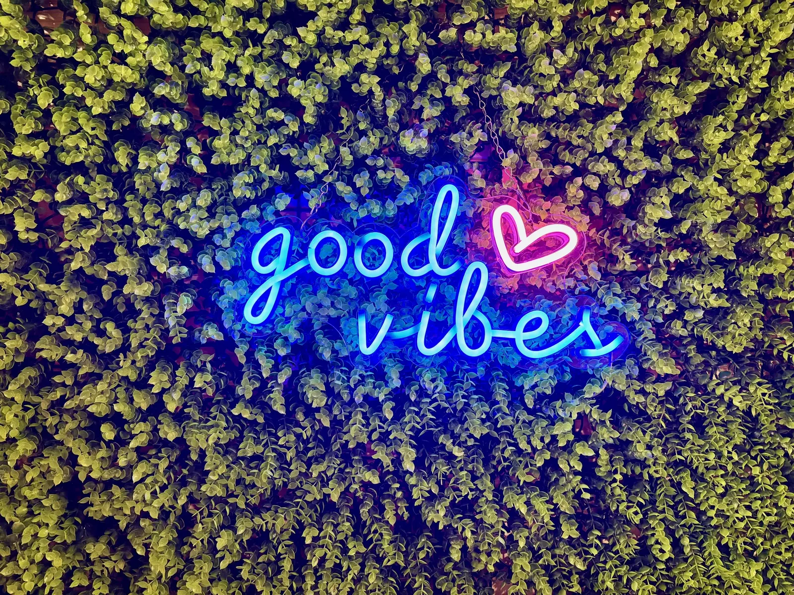 GOOD VIBES