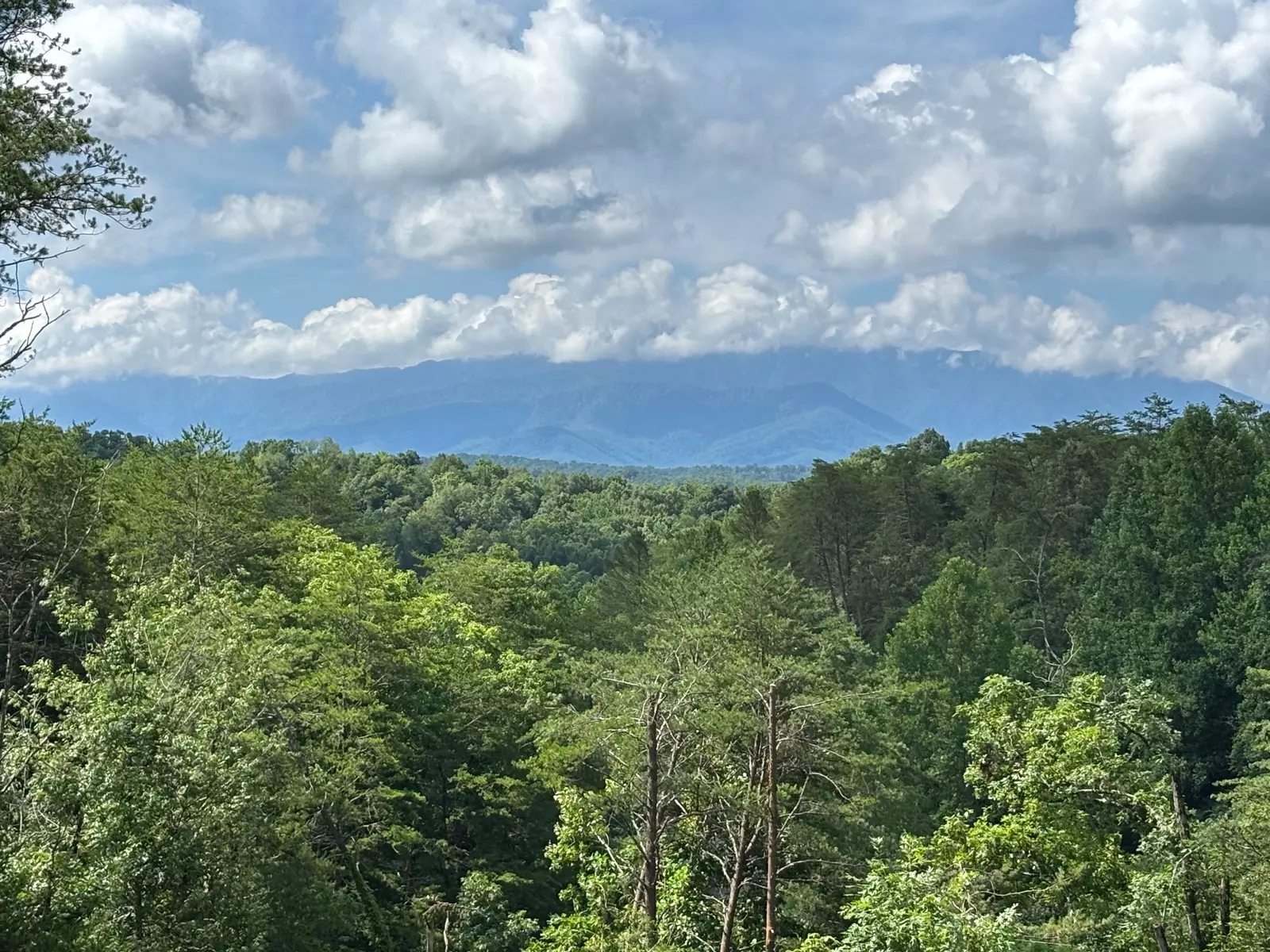 HEAVENS VIEW