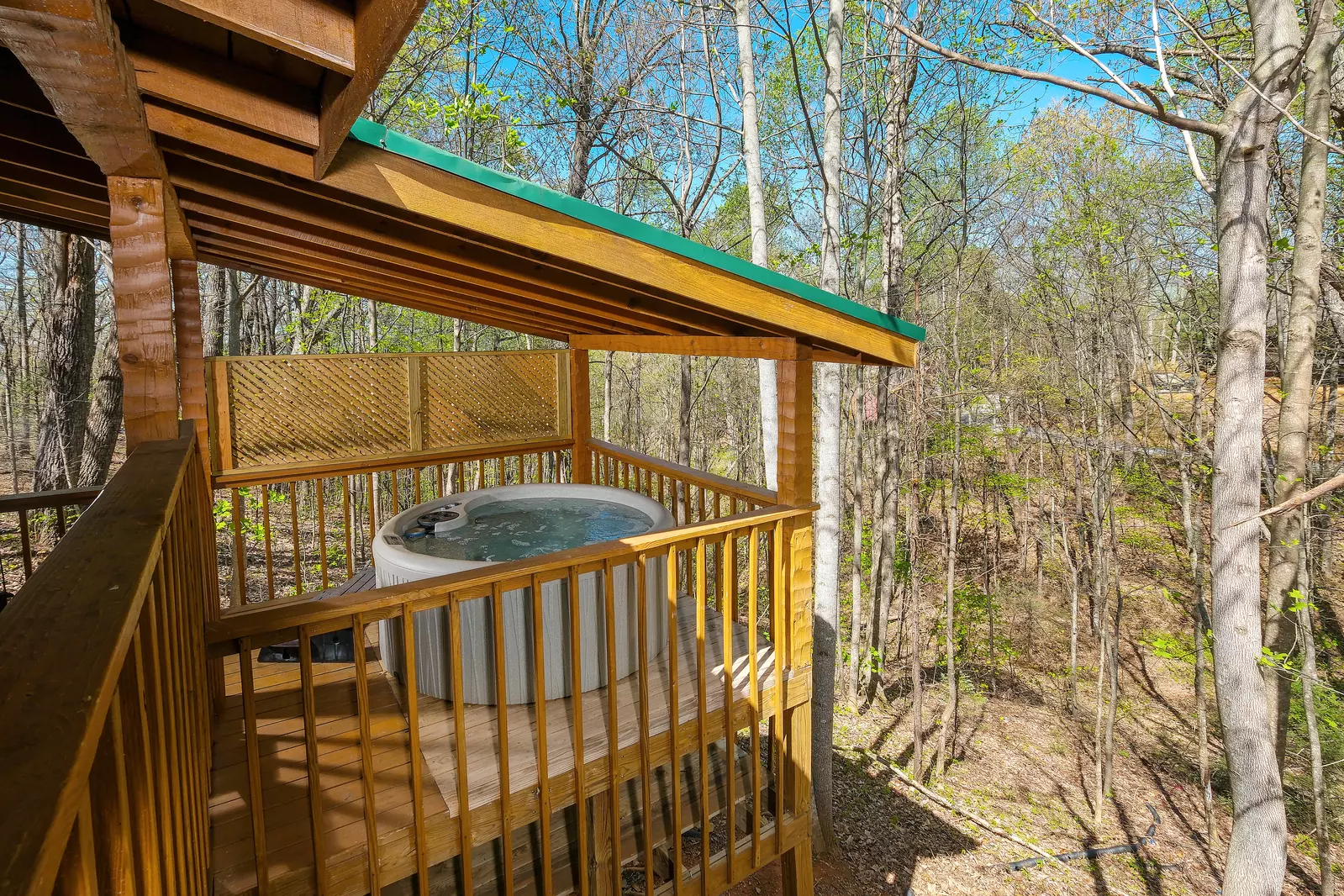 LECONTE VIEW