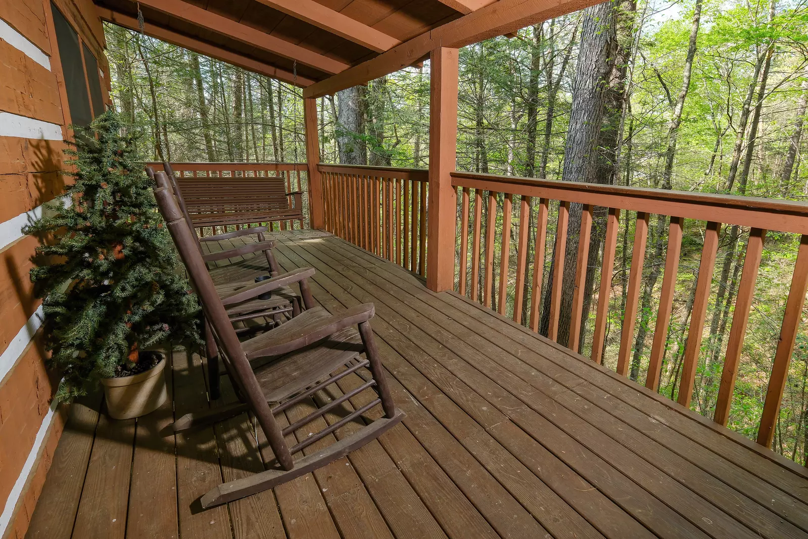 THE LOON'S NEST