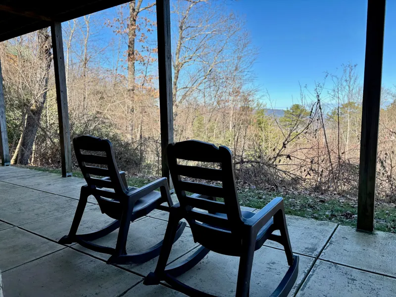 THE GOOD WOOD CABIN