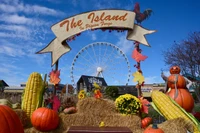 fall in pigeon forge at the island