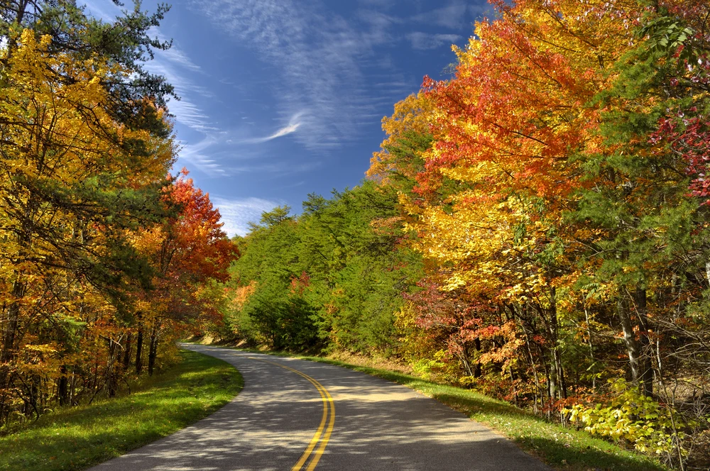 fall colors smoky mountains