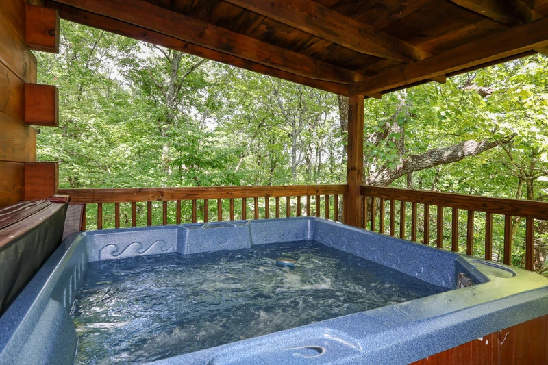 COVE CREEK LODGE