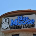 blue moose pigeon forge
