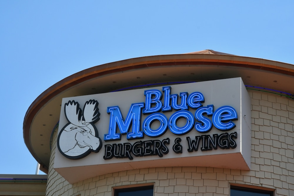 blue moose pigeon forge